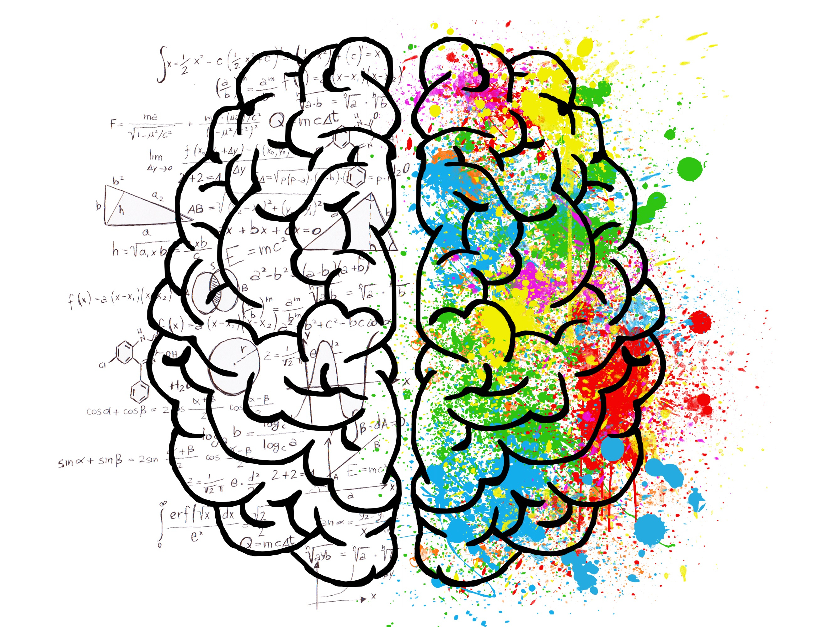 Brain Illustration.