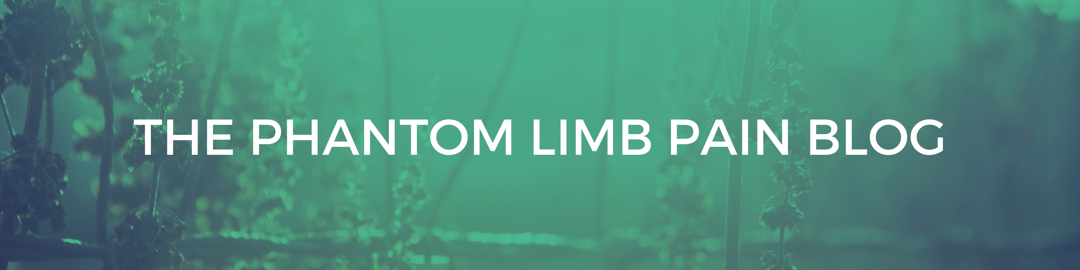 The phantom limb pain blog