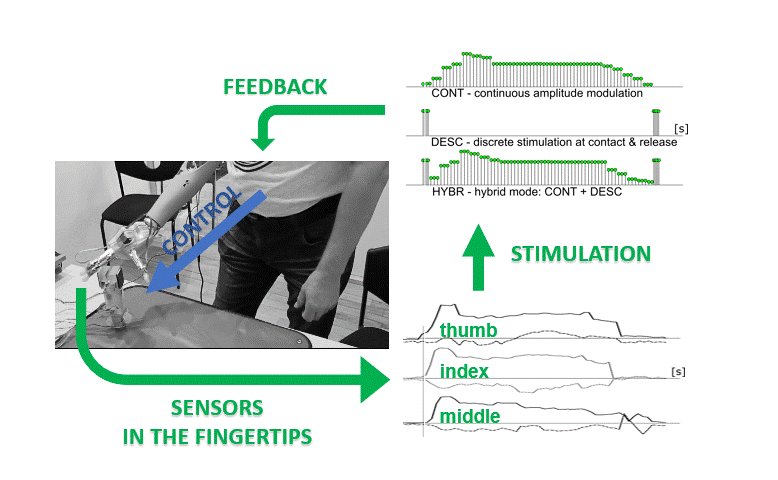 An e-OPRA Implant System recipient carried out the “Pick-and-Lift” test.